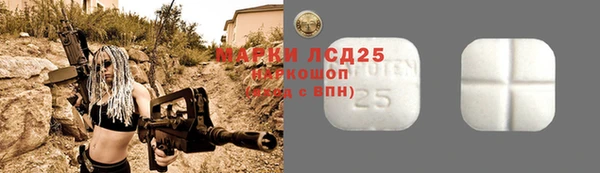 индика Алзамай
