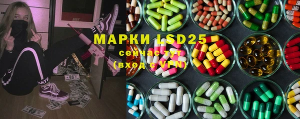 индика Алзамай