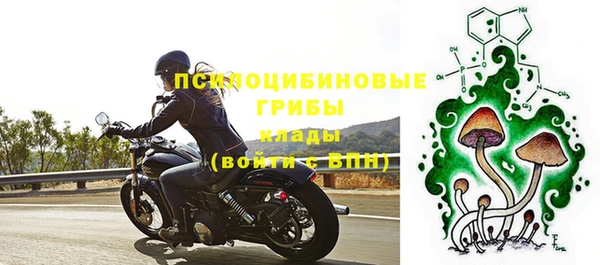 МДПВ Алексин