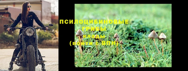 МДПВ Алексин